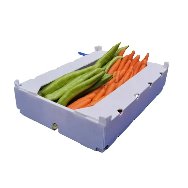 प्लास्टिक खोखला कोरोप्लास्ट फल और सब्जी बॉक्स
