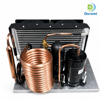 Unité de condensation frigorifique miniature DOREMI DC, taille personnalisée, système de refroidissement par compresseur refroidi par air avec serpentin en cuivre