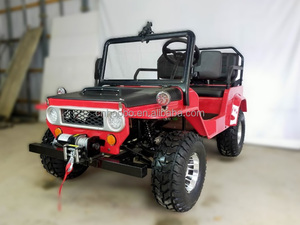 Mini Jeep Liqian 125CC à essence tout-terrain, 2 places, <span class=keywords><strong>Dune</strong></span> Buggy, mini camion pour adultes et enfants, course en plein air, grand espace - Product Image 4