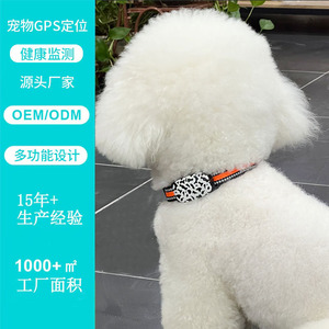 Collier intelligent GPS 4G pour animaux de compagnie, suivi en temps réel pour chiens - Product Image 5