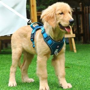 Rarewe Fournitures pour animaux de compagnie Ensemble <span class=keywords><strong>laisse</strong></span> <span class=keywords><strong>et</strong></span> harnais pour <span class=keywords><strong>chien</strong></span> Fabricant Logo de marque personnalisé Harnais de luxe sans traction pour chiens de taille moyenne <span class=keywords><strong>et</strong></span> grande - Product Image 1