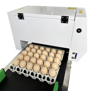 Ducke <span class=keywords><strong>Egg</strong></span> 날짜 코더 스탬핑 계란 코딩 기계 컨베이어 벨트가있는 계란 트레이 마킹 기계 - Product Image 2