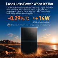 Module monocristallin bifacial de type N I-Ultra à double verre 700W, efficacité 24,6% pour les maisons