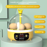 Incubateur d'œufs de poule entièrement automatique, mini incubateur domestique intelligent, alimentation USB, modèle éducatif scientifique