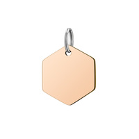 Pendentifs Breloques en Acier Inoxydable Plaqué Or, Forme Hexagonale, Motif Rose Bleu Noir Arc-en-ciel, Personnalisables avec Logo, Prix Abordable