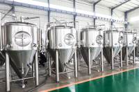 Équipement de brasserie miniature 500L en acier inoxydable