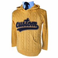 Vente en gros personnalisé 100% coton fraternité grec Alphas câble chenille patchs de broderie Hoddie vêtements pull épais de haute qualité
