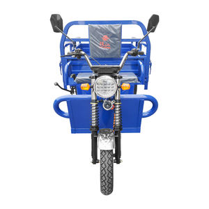 Triciclo de Carga de Tres Ruedas de 1000W Económico con Pedal Eléctrico Híbrido Gasolina-Eléctrico para Pasajeros Adultos - Product Image 4