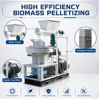 Machine à granulés de biomasse TOPS, moteur 75KW, haut rendement 800-1000kg/h pour la granulation de copeaux de bois/paille/pellets de coques de riz