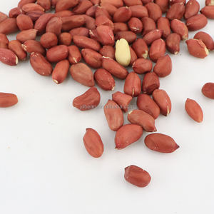 Erdnüsse 50 Kg Bulk Raw <span class=keywords><strong>Peanuts</strong></span> <span class=keywords><strong>Peanuts</strong></span> Preis Peanut Seeds - Product Image 6