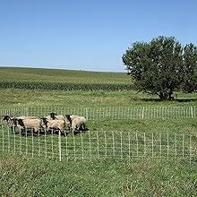 Clôture électrique en filet, matériau HDPE, durable, résistant aux UV, clôture <span class=keywords><strong>de</strong></span> <span class=keywords><strong>sécurité</strong></span> pour utilisation à la ferme - Product Image 4