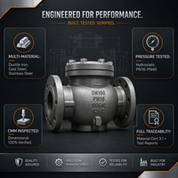 Corps de soupape moulé sur mesure |   Fonderie de précision en fonte ductile, acier moulé WCB et acier inoxydable CF8M |   Flanges usinées CNC