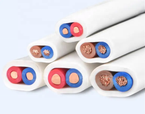 <span class=keywords><strong>2</strong></span>.<span class=keywords><strong>5mm2</strong></span> 300/500V basse tension <span class=keywords><strong>2</strong></span> noyaux Pvc isolé et gainé fil plat en cuivre fil de câble d'équipement électrique - Product Image 6