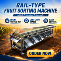 Volledig automatische multifunctionele sorteermachine voor het sorteren van litchi fruit en groenten op maat, voor commercieel gebruik