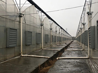 Hengshuangda Lagerhaus-Belüftungsventilator Wand-/Fenstermontierter Axialventilator Edelstahlflügel Kugellager Elektrisch