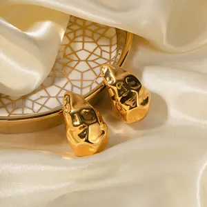 Luxury 18k Gold Plated Stainless Steel Designer Popular Brands Women Jewelry Accessories Drop Earrings Jewelry