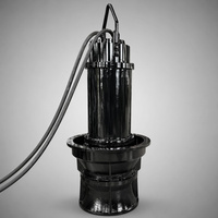 Bomba Sumergible de Flujo Axial Especializada de 160kW, Bomba de Agua de Hélice de Alta Capacidad para Sistemas de Refrigeración de Plantas de Energía, 380V