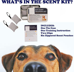 Juguete interactivo de <span class=keywords><strong>entrenamiento</strong></span> con olor a perro de forma sólida, juego de nariz para mejorar el sentido del <span class=keywords><strong>olfato</strong></span> de los perros para uso doméstico - Product Image 2