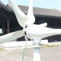 Éolienne de nouvelle conception 800w 12v 24v avec 6 pales, petit générateur éolien portable pour toit de maison