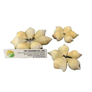 Super hot product! Yellow Conch offers great discounts on high quality products from Vietnam.