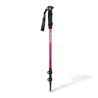 Bâtons de marche télescopiques de montagne ultralégers pour l'extérieur Bâtons de trekking en fibre de carbone