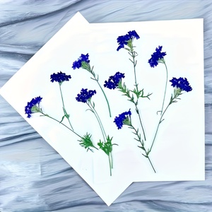 Tiges de <span class=keywords><strong>verveine</strong></span> séchées longue durée avec fleurs pressées pour moules à résine, décoration intérieure et cadeaux de fête des Mères - Product Image 3