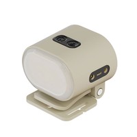 Ningbo VISION BSCI Usine Mini Taille USB-C Rechargeable LED Clip Lumière Multifonctionnel Phare Avec Aimant Led Camp Lumières