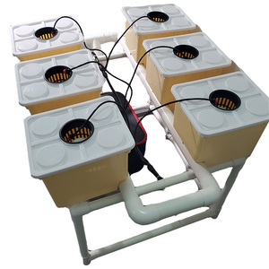 Système complet de culture hydroponique de tomates en seau hollandais pour jardin - Product Image 1