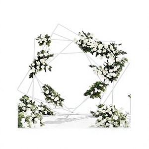 Designer Backdrop Deluxe Quality White Color Iron Backdrop Customized Size And Shape Backdrop At Competitive Price - Product Image 1