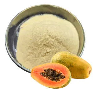 Prix usine extrait de graines de papaye 100% poudre d'extrait de papaye de qualité alimentaire soluble dans l'eau
