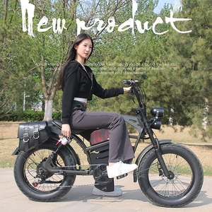 <span class=keywords><strong>Acier</strong></span> de 20 pouces, fabrication américaine Vélo électrique à pneus larges pour adultes, avec double amortisseur, moteur arrière 1500W sans balais, batterie lithium 48V 15AH - Product Image 3