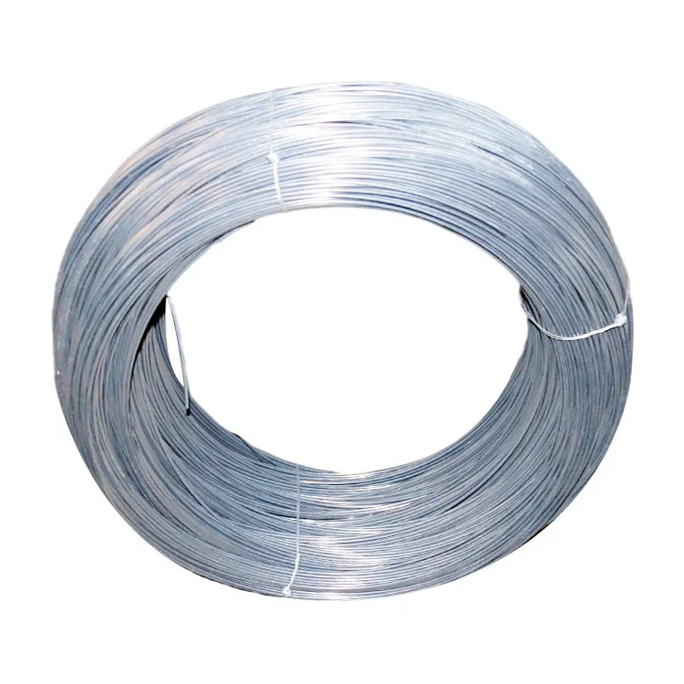 Professional Wholesaler Galvanized Steel Wires Iron Wire Galvanized Binding Wire Competitive Price Bwg20 21 22