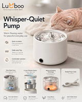 Fontaine à eau chauffante pour animaux de compagnie en acier inoxydable