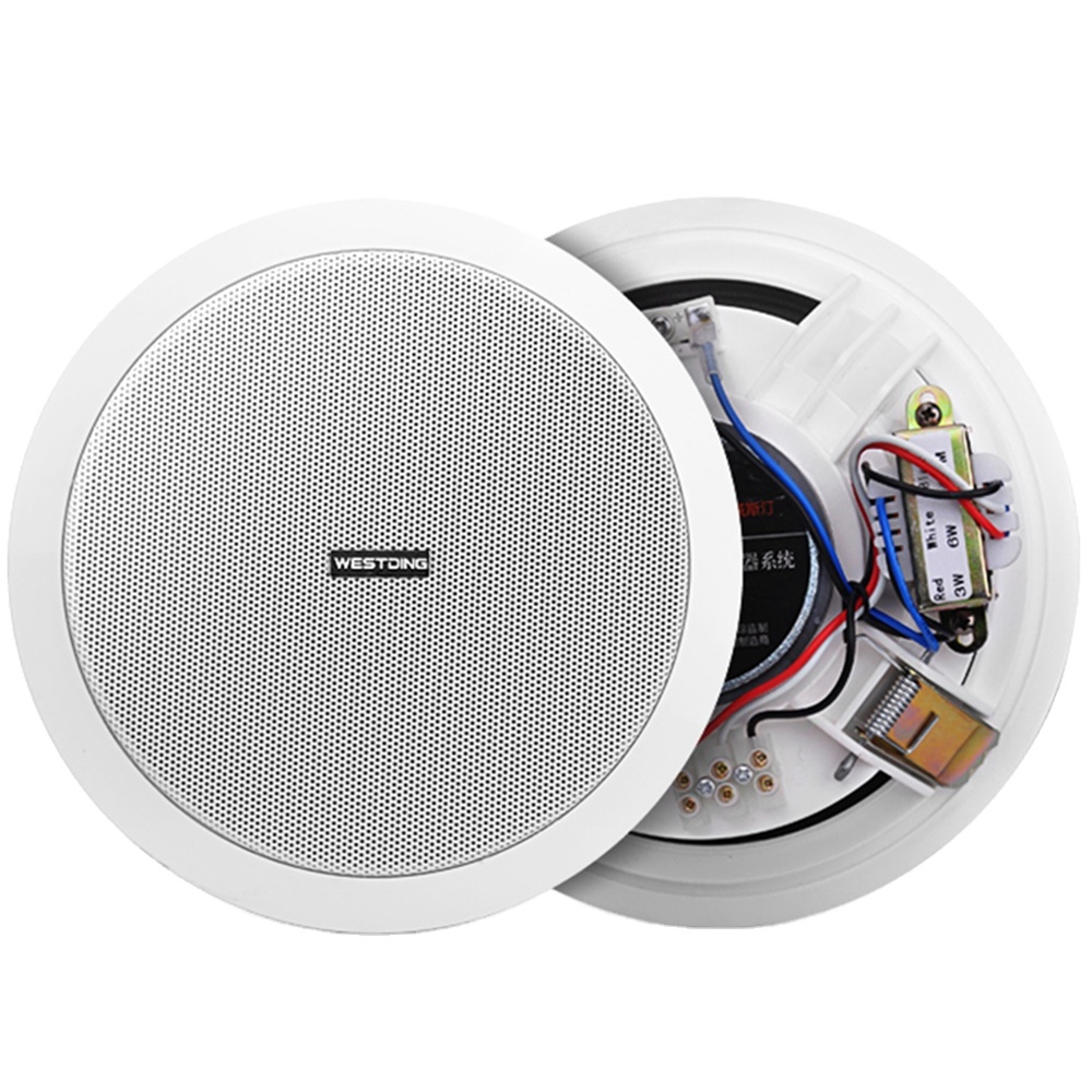 Factory Direct Sale Round Shaped Plastic Housing Passive 3W Ceiling Speaker for School Public Address System