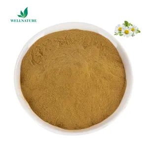 Wellgreen Herbal Extract Bulk Price Dried Organic Apigenin Chamomile Extract