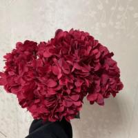 IFG grosir bunga Hydrangea asli diawetkan bunga warna merah buatan untuk dekorasi ruang keluarga pernikahan