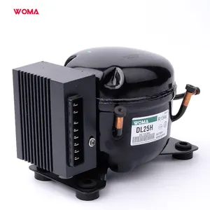 Compressor solar woma dl25h dl19h 12-24v dc, veículo de refrigeração