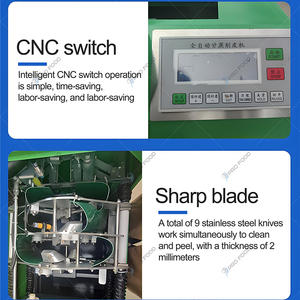 Éplucheur de canne à sucre à opération facile Machine à éplucher la canne à sucre commerciale Machine automatique de grattoir d'épluchage de peau de canne à sucre - Product Image 4