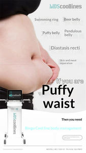 เครื่องกระชับสัดส่วนหน้าท้องแบบสัมผัส ไม่ต้องเสียภาษี ลดสัดส่ว<span class=keywords><strong>น</strong></span> 2-8 ซม. - Product Image 5