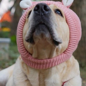 Chapeau d'hiver drôle pour chien pour races moyennes et grandes Le polyester garde les oreilles au chaud pour les petits et grands chiens pour le <span class=keywords><strong>Labrador</strong></span> <span class=keywords><strong>Golden</strong></span> <span class=keywords><strong>Retriever</strong></span> - Product Image 6