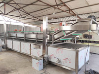 Friteuse industrielle sans huile 500kg d'une heure pour frites Pringles Friteuse pour frites de pommes de terre
