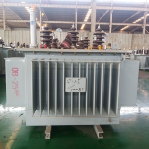 Transformador de Distribución de Energía Trifásico Sumergido en Aceite de 10000 KVA de Alta Eficiencia IEC60076 - Product Image 5