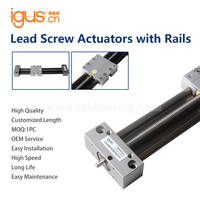 Unités de vis mère CNC Igus Robust Robot SLW 100 % originales de bonne qualité, modules d'actionneur linéaire à bloc de guidage SLW-0630