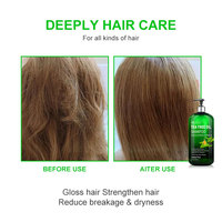 Mokeru 500 Ml Sampo Rambut Berkualitas Tinggi Berbahan Biji Teh Anti-Ketombe Bebas Sulfat dengan Minyak Tea Tree