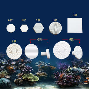 Bouchons en céramique blanche écologique plaque ronde Base corail Frag disques support avec différentes tailles pour carreaux d'aquarium SPS LPS - Product Image 1
