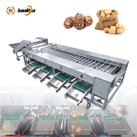 Industriële tomaten- en citrussorteermachine met automatische rollen, groente- en citrus sorteersysteem, industriële apparatuur