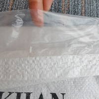 Fabricant de sacs vides Sacs antidérapants tissés en PP Sacs avec doublure intérieure Sac d'emballage de riz pour sacs de sel et de sucre