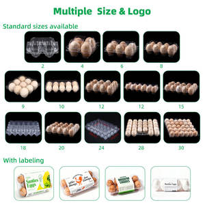 Confezioni per Uova in Plastica Riutilizzabile Trasparente, 18 Scomparti, Materiale <span class=keywords><strong>PET</strong></span> Riciclato, 4 Pezzi, Vaschette Monouso per 6/8/10/12/15/20/30 Uova, Vendita all'Ingrosso - Product Image 5