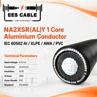 Câble d'alimentation moyenne tension blindé en aluminium NA2XSR(AL)Y 1 conducteur, isolé XLPE, gaine PVC, fil d'aluminium, norme IEC 60502