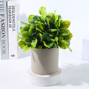 Bonsái artificial, pequeña planta en maceta, plástico Natural, tacto Real, decoración interior y exterior de larga duración, Acción de Gracias, Año Nuevo - Product Image 6